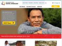 Desktop screenshot for nativepartnership.org