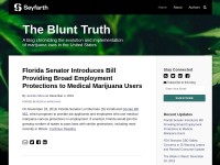 Desktop screenshot for blunttruthlaw.com