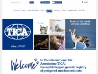 Desktop screenshot for tica.org