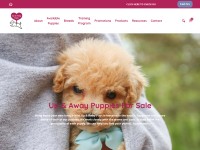 Desktop screenshot for upandawaypups.com