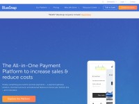Desktop screenshot for bluesnap.com