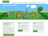 Desktop screenshot for anlx.net