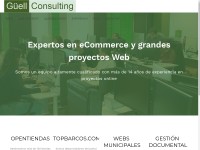 Desktop screenshot for guellconsulting.com