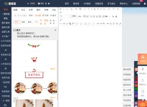 How 135editor.com looks like on a tablet such as an iPad.