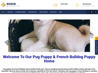 Desktop screenshot for frenchiespugpuppy.com