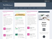 Desktop screenshot for indiacelebrating.com