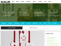 Desktop screenshot for detectview.com