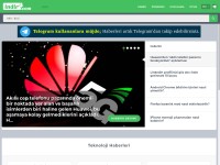 Desktop screenshot for indir.com