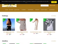 Desktop screenshot for gotogofast.com