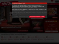 Desktop screenshot for bingoal.nl