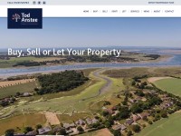 Desktop screenshot for todanstee.com