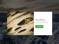 Desktop screenshot for nature.org