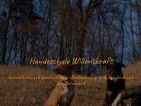 Screenshot of willenskraft.co.at