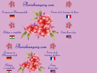Screenshot of floristhungary.com