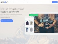 Desktop screenshot for skynell.biz