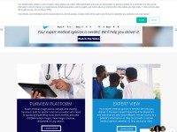 Desktop screenshot for purview.net