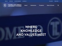 Desktop screenshot for touro.edu