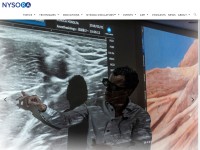 Desktop screenshot for nysora.com