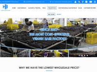 Desktop screenshot for honesthairfactory.com