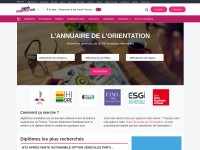 Desktop screenshot for orientation.com