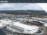 Desktop screenshot for nelsononline.com
