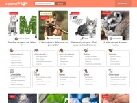 Desktop screenshot for expertoanimal.com