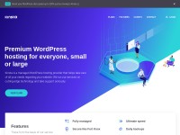 Desktop screenshot for kinsta.com