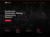 Desktop screenshot for netspi.com