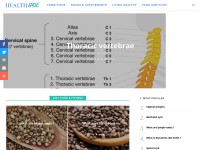 Desktop screenshot for healthjade.com