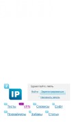 How 2ip.ru looks like on a mobile device such as an iPhone.