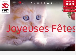 How 30millionsdamis.fr looks like on a tablet such as an iPad.