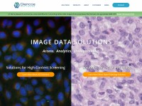 Desktop screenshot for glencoesoftware.com
