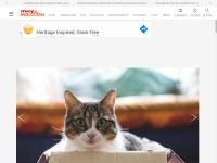 Desktop screenshot for muymascotas.es