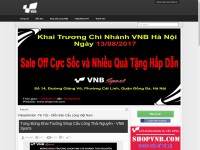 Desktop screenshot for vnbadminton.com