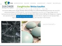 Desktop screenshot for sukower.de
