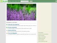 Desktop screenshot for infojardin.com