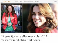 Desktop screenshot for svenskdam.se