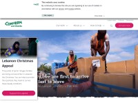 Desktop screenshot for concern.net