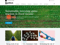 Desktop screenshot for blackrockblog.com