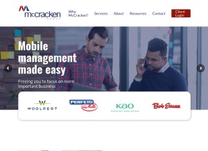 How 3spectrum.com looks like on a tablet such as an iPad.