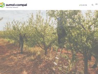 Desktop screenshot for sumol-compal.com