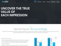 Desktop screenshot for appbid.com