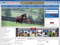 Desktop screenshot for equineline.com