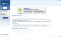 Desktop screenshot for dnsever.com