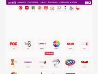 Desktop screenshot for canli.co