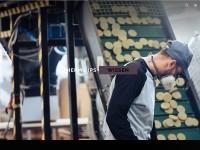 Desktop screenshot for thermo-ips.de