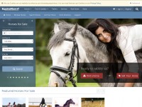 Desktop screenshot for equinenow.com