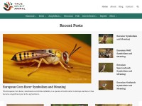 Desktop screenshot for truespiritanimal.com