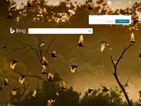 Desktop screenshot for bing.com