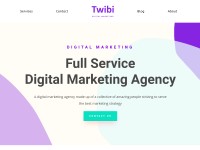 Desktop screenshot for twibiagency.com